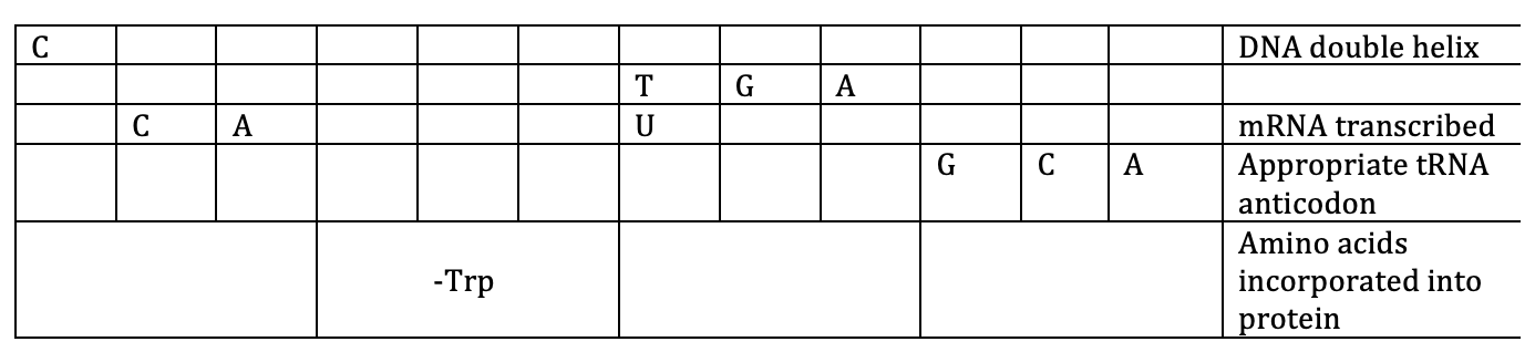 Solved 2. Use the Genetic Code (codon dictionary) on the | Chegg.com