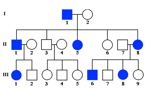 Solved I 1 2 II 2 3 4 5 7 8 III 1 2 3 4 5 6 7 8 9 | Chegg.com
