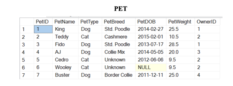 ms sql assignments