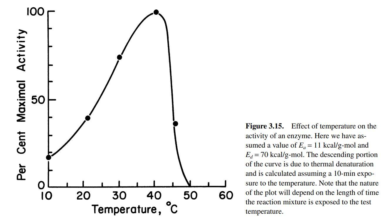 1 Enzyme Denaturation with Temperature Calculate