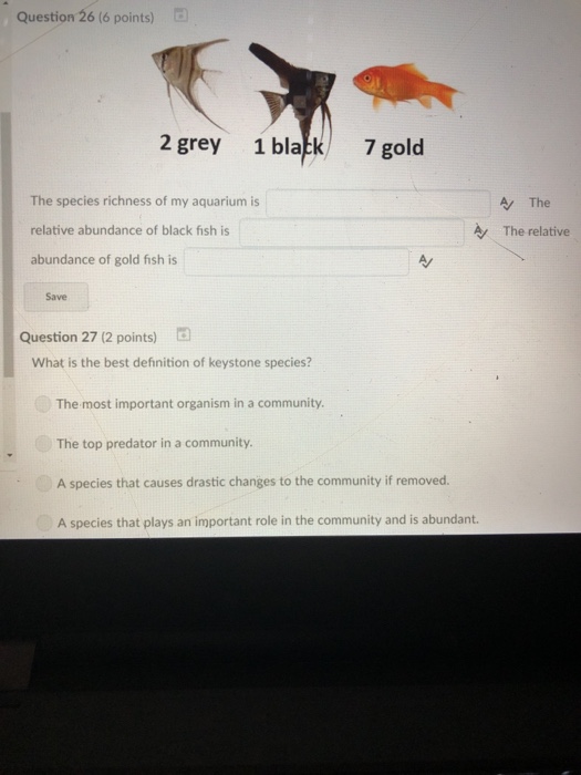 Solved Question 26 6 Points 2 Grey 1 Blatk 7 Gold The Chegg