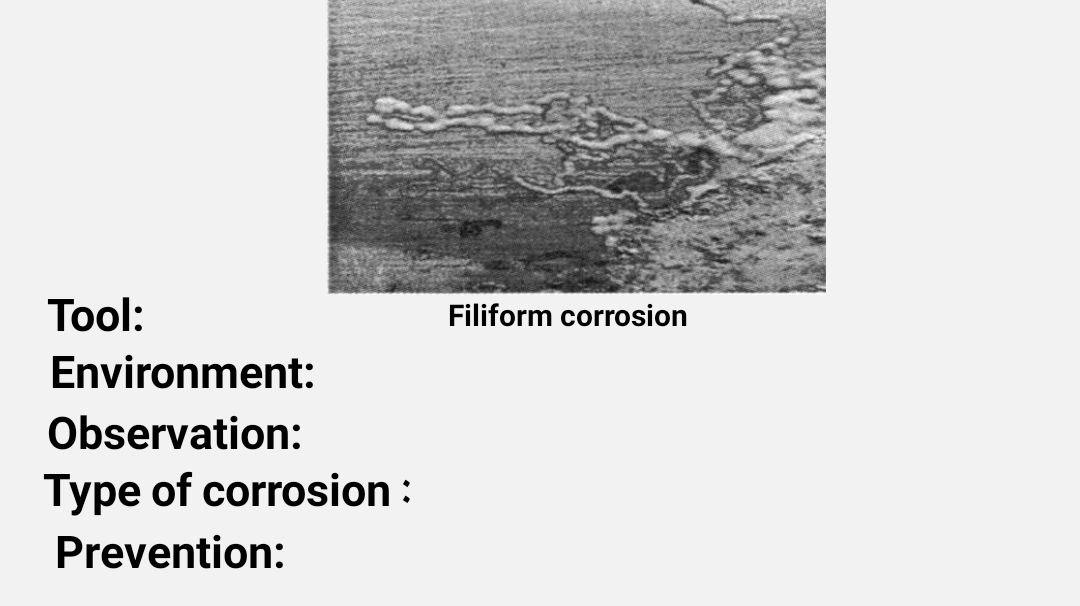 Solved Filiform Corrosion Tool Environment Observation