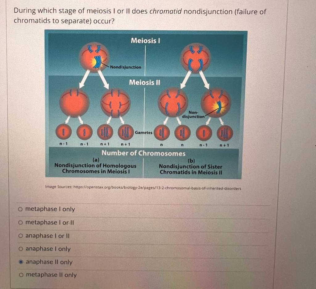 Solved Match the term to its correct description or | Chegg.com