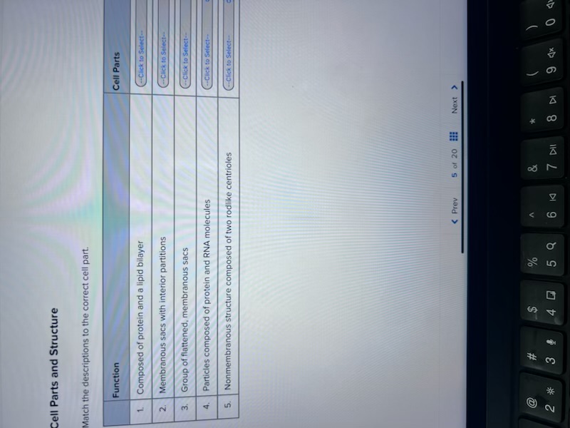 Solved Cell Parts And Structure Match The Descriptions To | Chegg.com