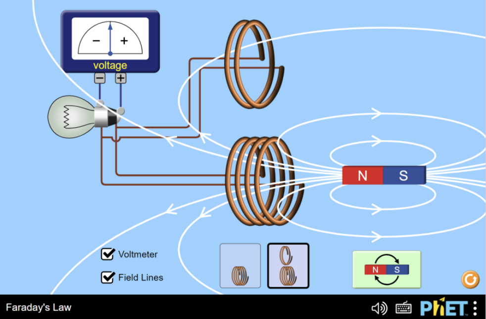Find the radius of the wire loops in the simulation