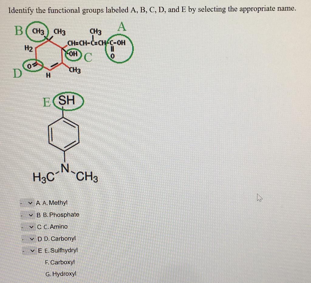 Solved Identify the functional groups labeled A,B,C,D, and E | Chegg.com