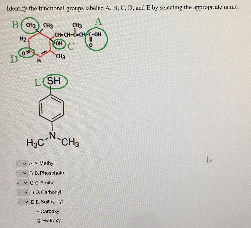 Solved Identify The Functional Groups Labeled A,B,C,D, And E | Chegg.com