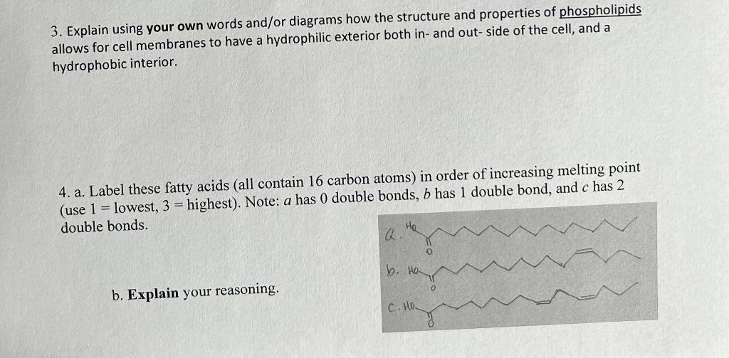 Solved 1. Identify the type of lipid (wax, fatty acid,