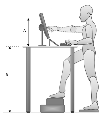 identify relevant anthropometric data in determining | Chegg.com