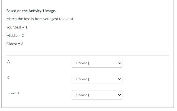 Based on the Activity 1 image.
Match the fossils from youngest to oldest.
Youngest \( =1 \)
Middle \( =2 \)
Oldest \( =3 \)
A