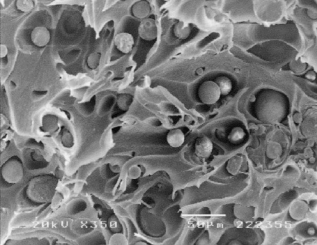 SEM photomicrographs of PCL NPs: (A) F3, HSA (scale bar = 10 μ m