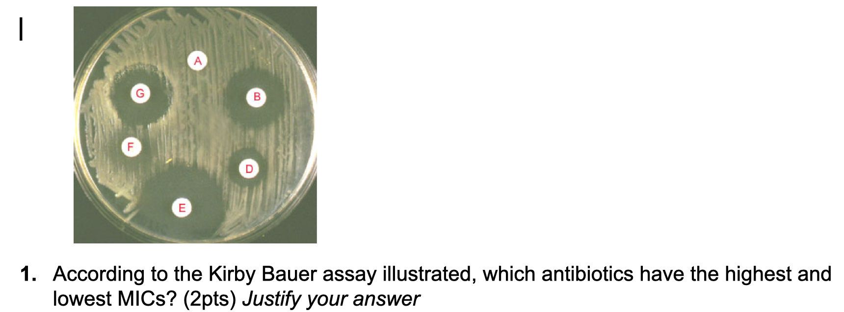 Solved According to the Kirby Bauer assay illustrated, | Chegg.com