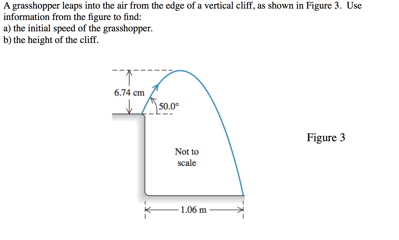 Solved A Grasshopper Leaps Into The Air From The Edge Of A | Chegg.com