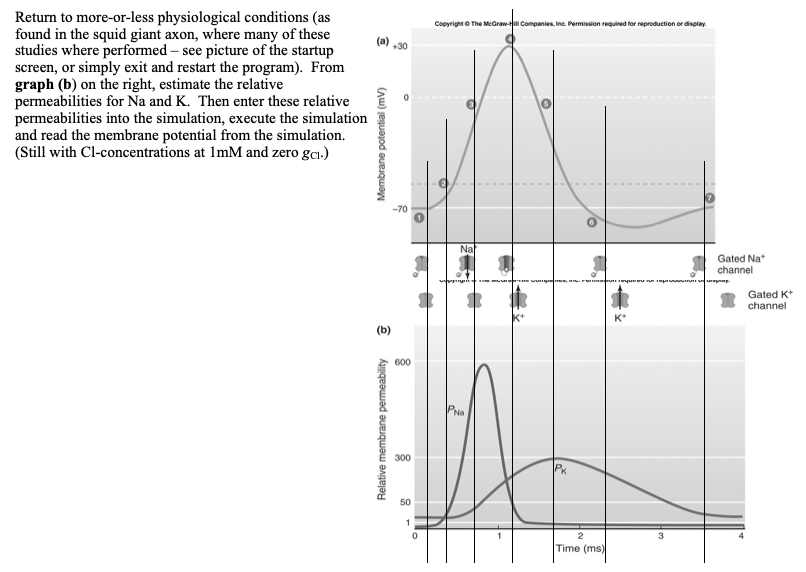 Solved NeuroSim Goldman model - Default Eile Model Edit View | Chegg.com