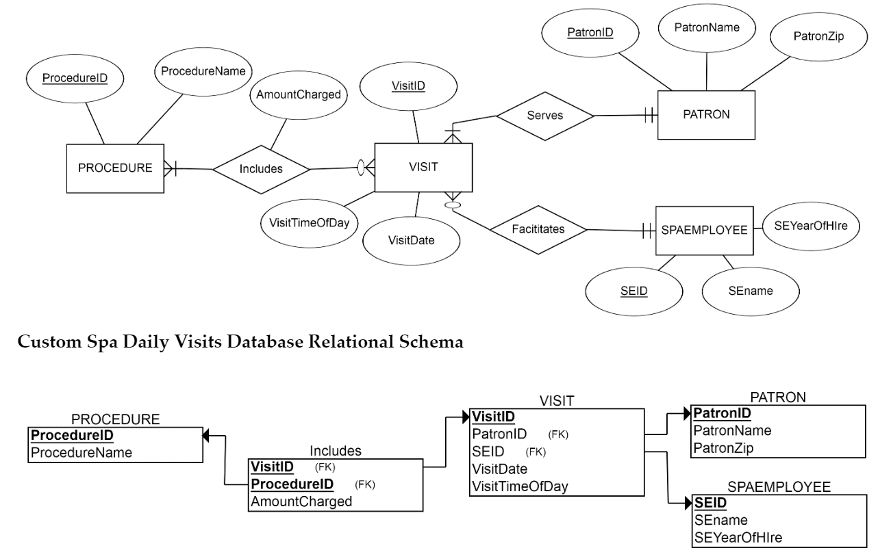 Solved Custom Spa Daily Visits Database Relational | Chegg.com