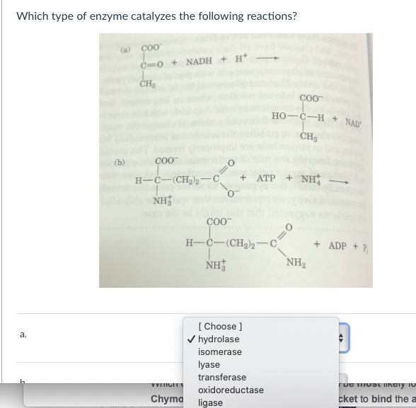 Solved Which type of enzyme catalyzes the following