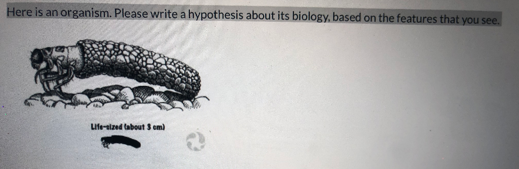 write a short note on life cycle hypothesis