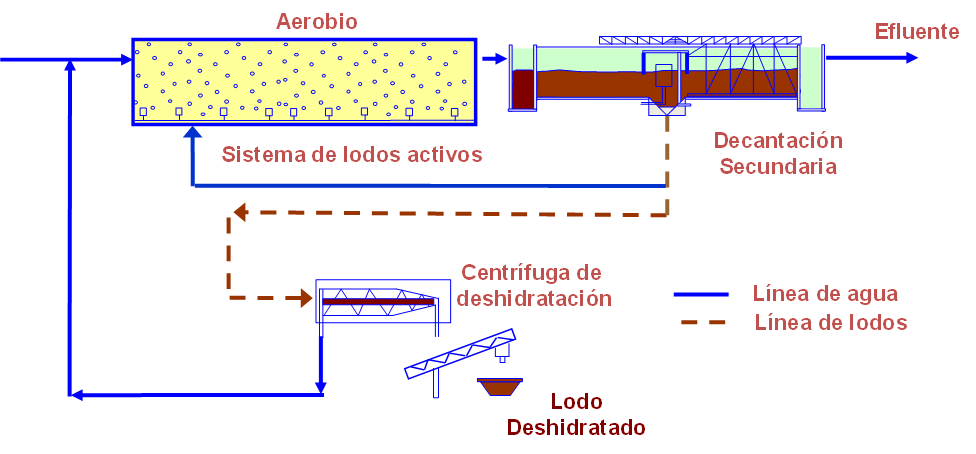 Solved Design Of An Urban Wastewater Treatment System.A | Chegg.com