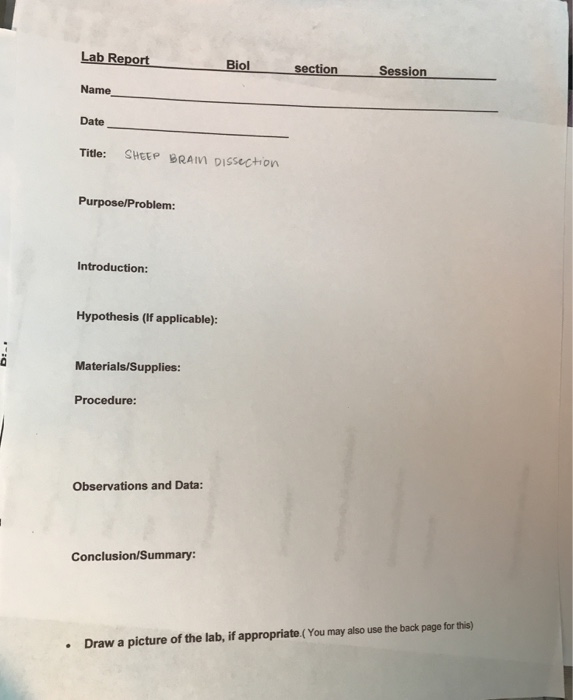 Solved Lab Report Name Date Title SHEEP BRAM Dissection