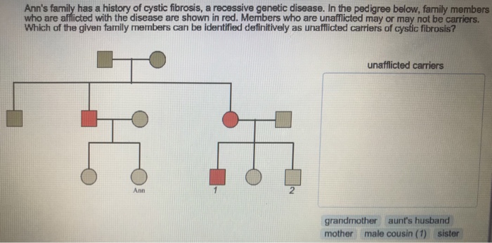 Solved Suppose that Jess has myotonic dystrophy and shows | Chegg.com