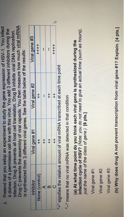Solved Pretend that you setup an experiment to study the | Chegg.com