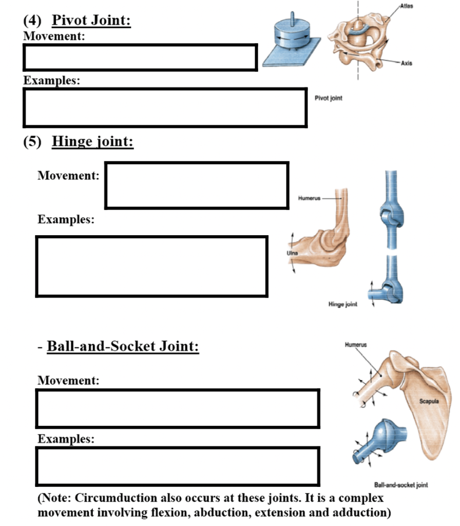 pivot joint examples