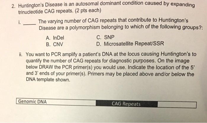 Solved ed by expanding trinucleotide CAG repeats. (2 pts | Chegg.com