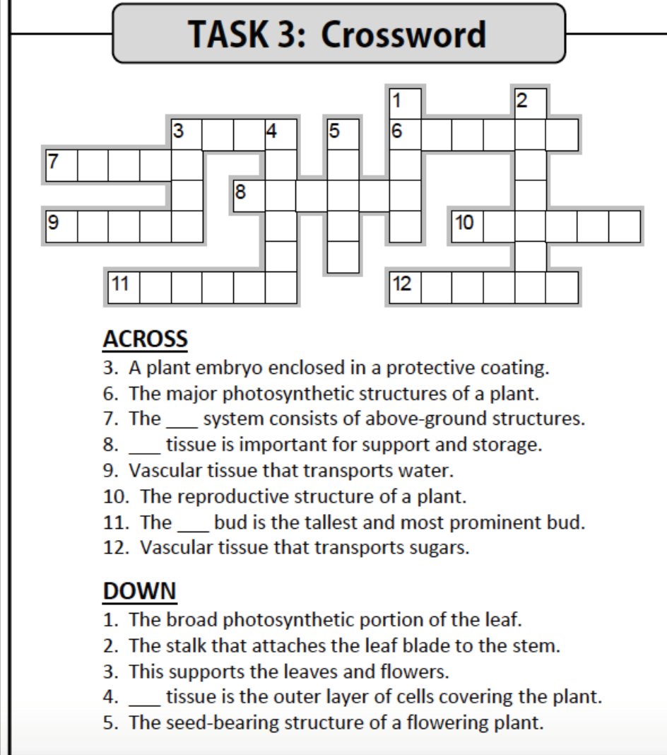 Solved Task 3 Crossword 1 6 14 15 7 18
