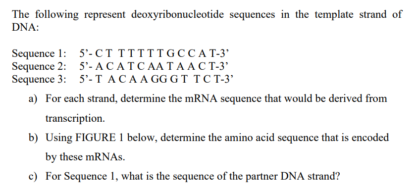 Solved The following represent deoxyribonucleotide sequences | Chegg.com