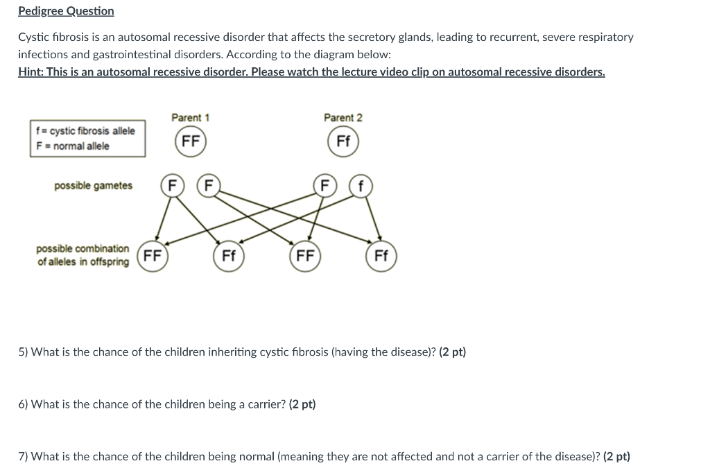 Pedigree gastrointestinal 2024