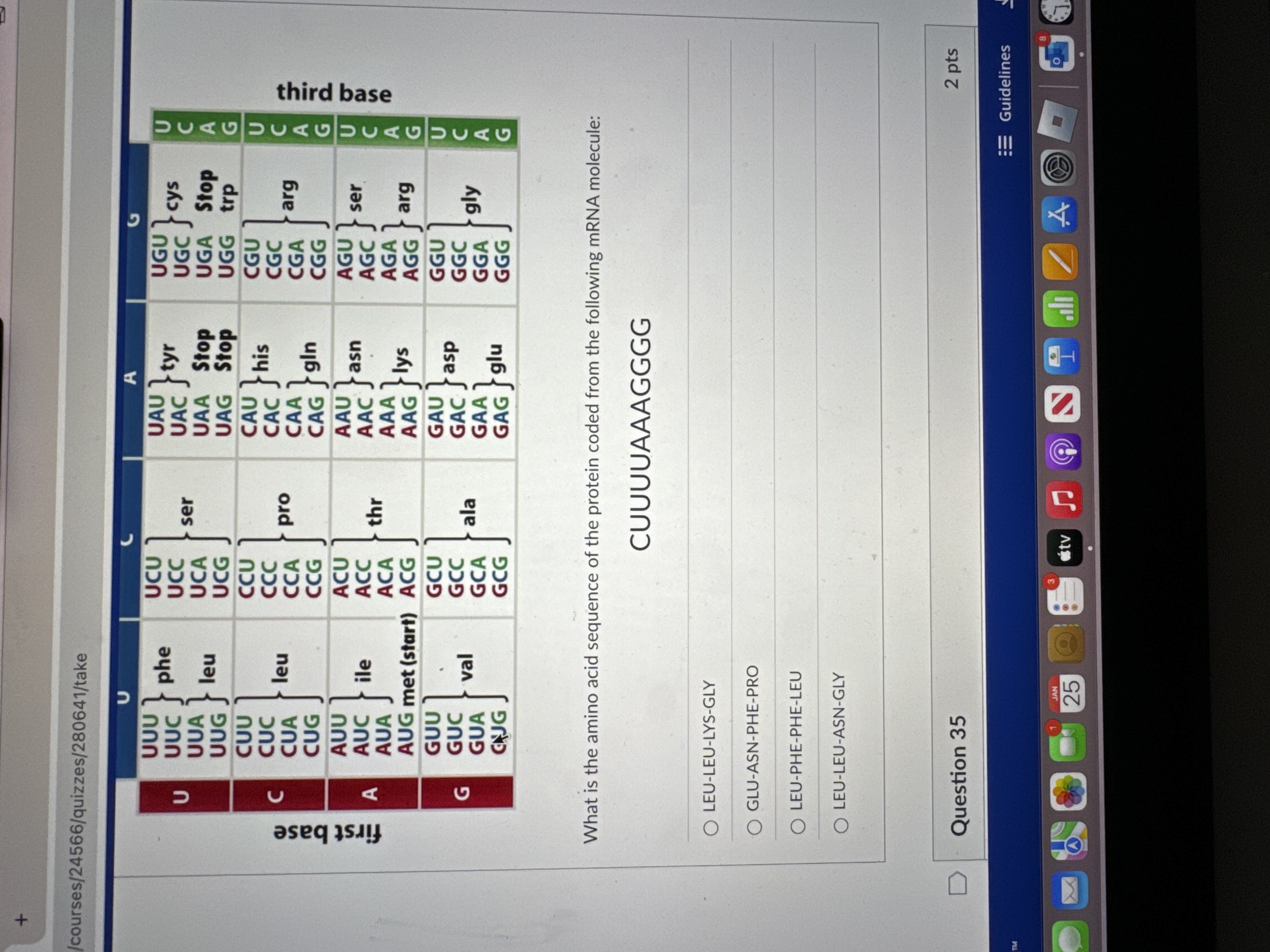Solved What is the amino acid sequence of the protein coded | Chegg.com