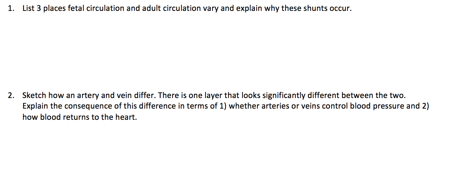 fetal circulation and adult circulation