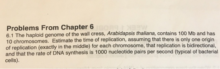 Solved Problems From Chapter 6 6.1 The haploid genome of the | Chegg.com