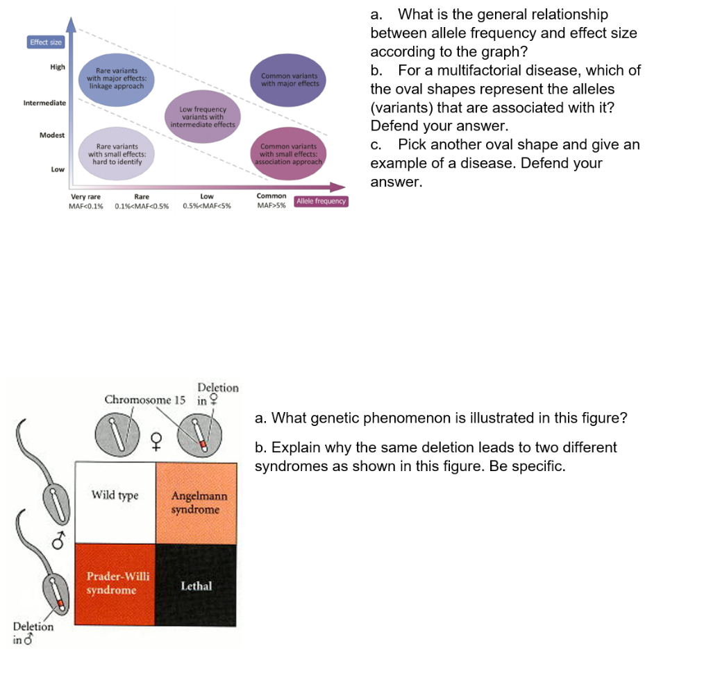 Effect size High Rare variants with major effects: linkage approach Common variants with major effects a. What is the general
