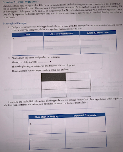 Solved Exercise 2 (Lethal Mutations) Sometimes there may be | Chegg.com