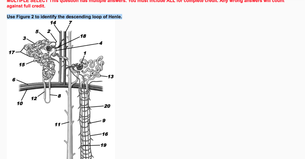 Solved This Question Nas Muitiple Ar Tou Must Inciude Al Chegg Com