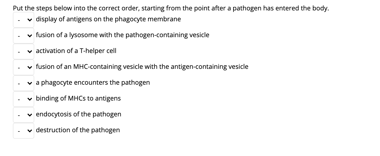 Solved Put the steps below into the correct order, starting | Chegg.com