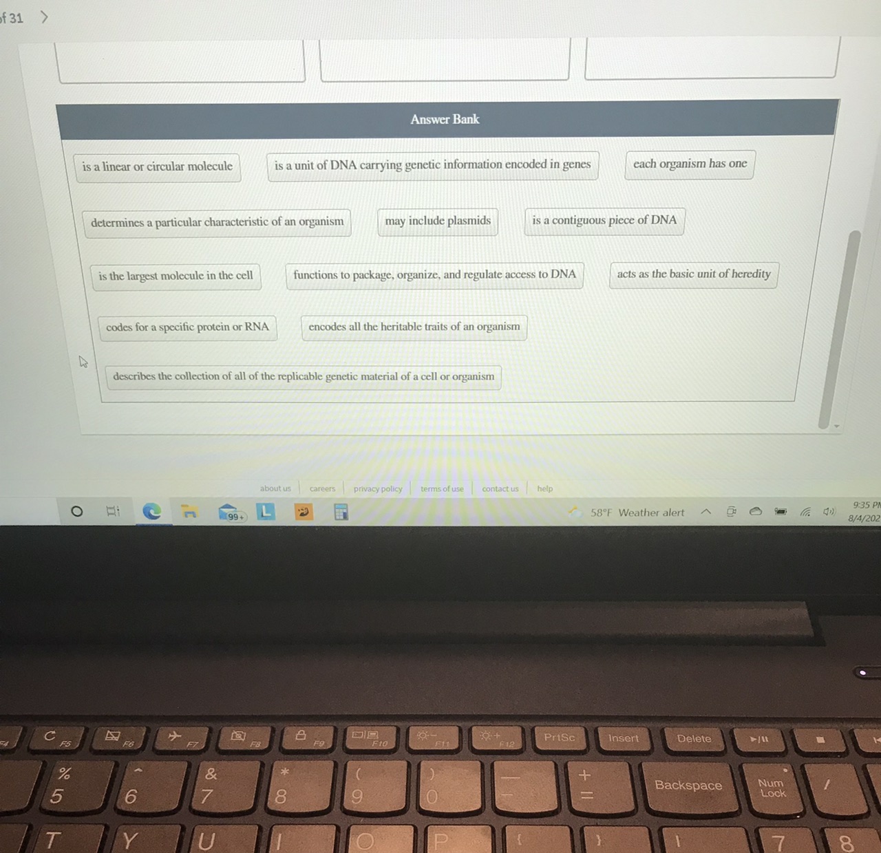 Solved Classify each statement as describing a gene, | Chegg.com