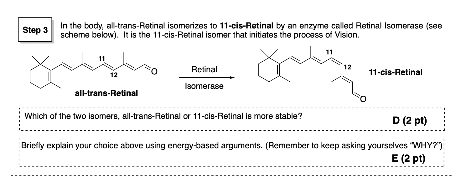 Solved in the body all trans retinal isomerizes to chegg