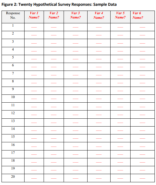 Figure 2: Twenty Hypothetical Survey Responses: Sample Data