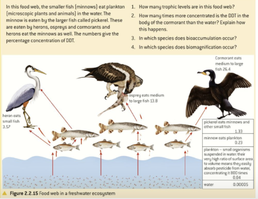 Solved In this food web, the smaller fish [minnows] eat | Chegg.com