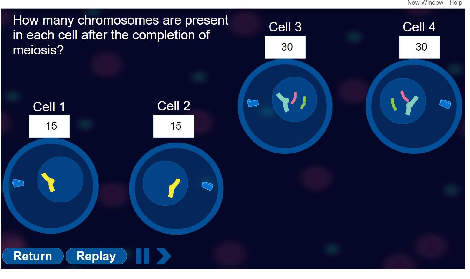 what-event-occurred-during-this-cycle-of-meiosis-chegg