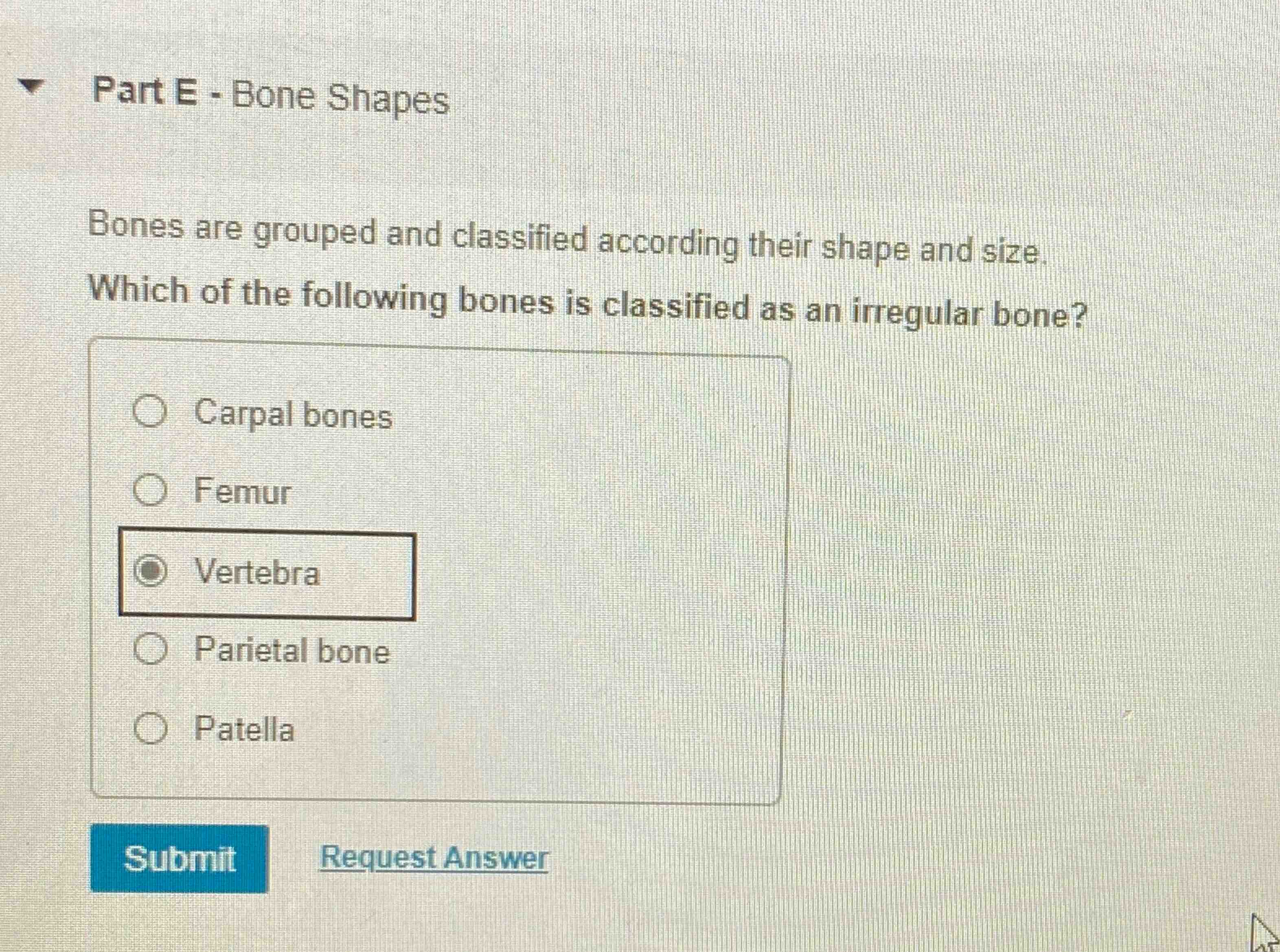 Solved Part E - ﻿Bone ShapesBones are grouped and classified | Chegg.com