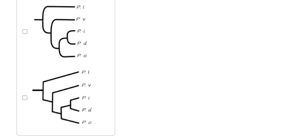 Solved Which of the following trees represent the same | Chegg.com