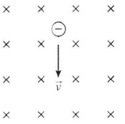 Solved 1.A charged particle is placed in a uniform magnetic | Chegg.com