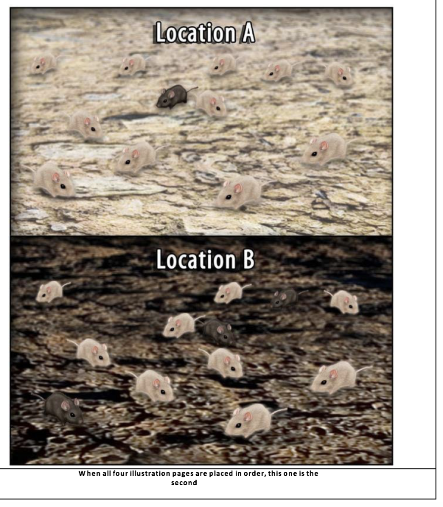 Solved Location A Location B When All Four Illustration | Chegg.com