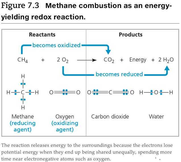 Figure 7 3 Methane Combustion As An Energy Yielding