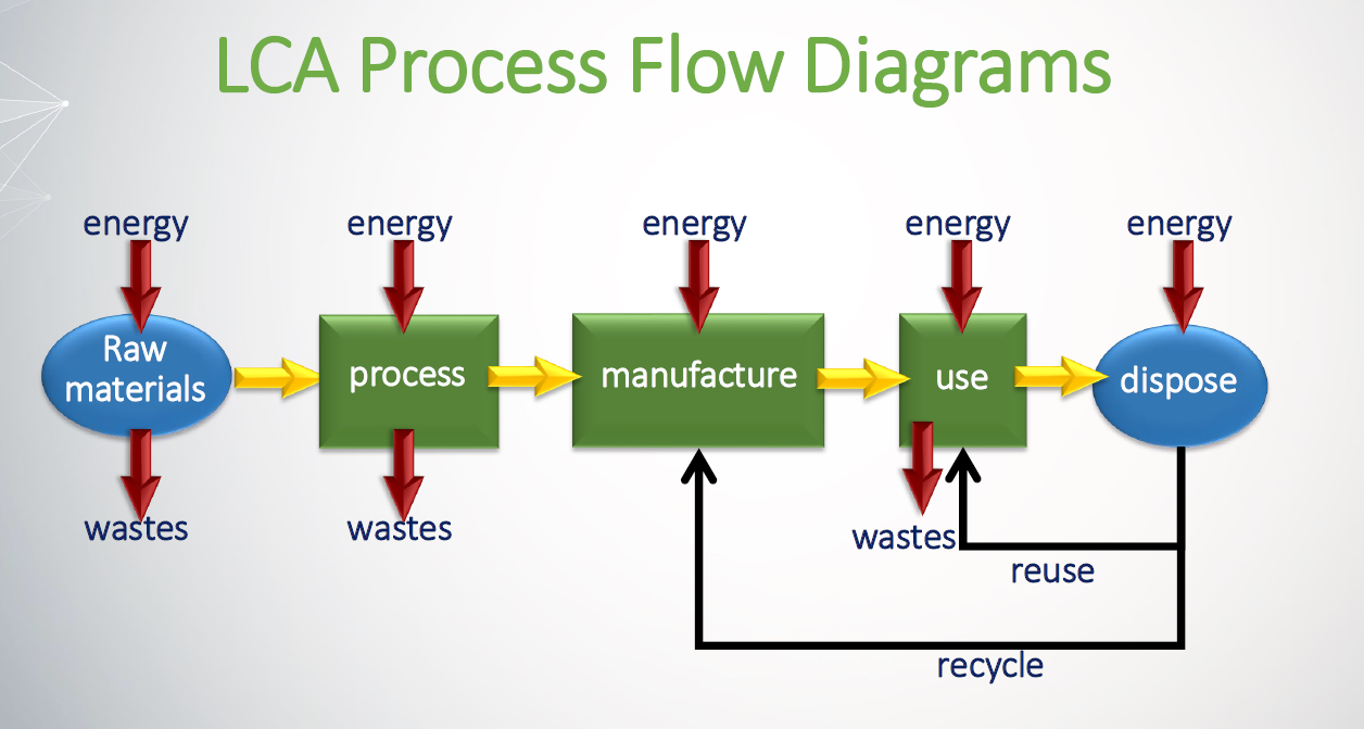 Solved As your studying from the slide. Draw a typical LCA