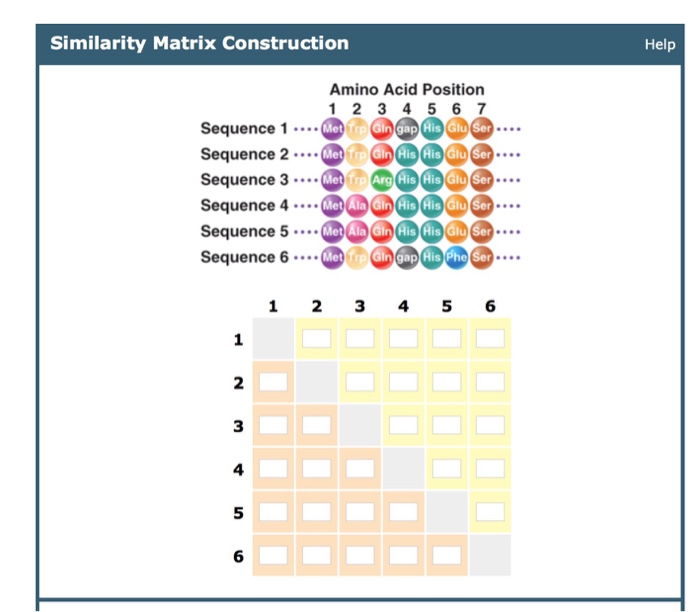 solved-similarity-matrix-construction-help-amino-acid-chegg