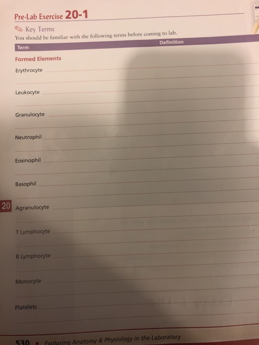 Solved PreLab Exercise 201 e Key Terms You should be